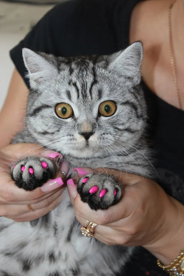 20PCS Pet Cat Nail Soft Claws Caps with Adhesive Glue & Applicator