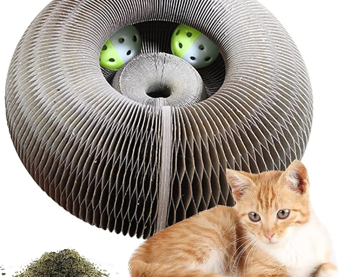 CozyLife™ Magic Cat Scratcher & Play Hub