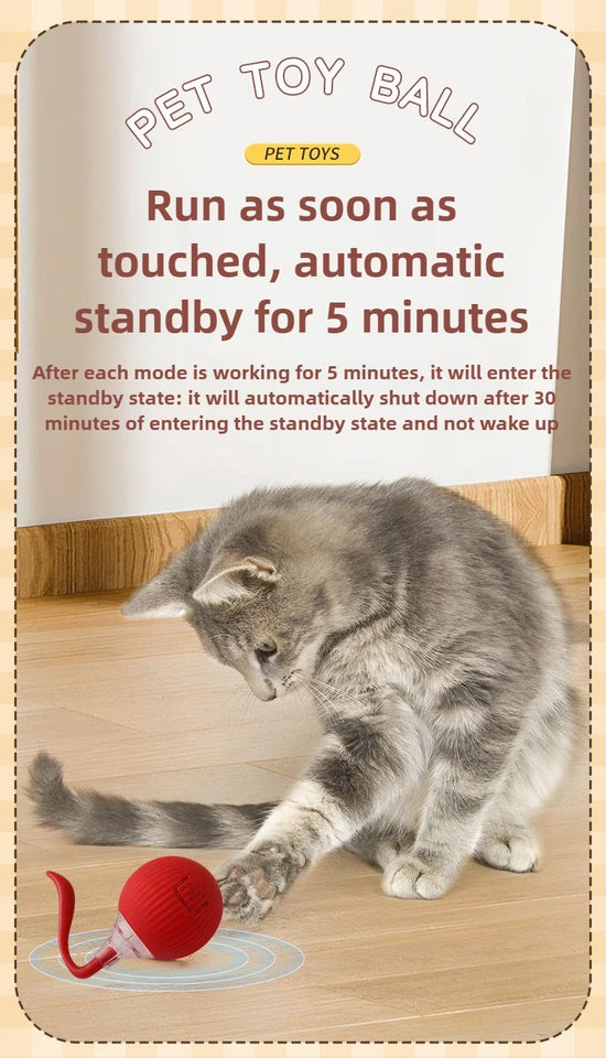 Self-Moving Electronic Toy for Cats and Kittens