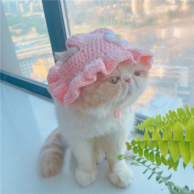 Autumn Winter Cat Hat – Elastic Knitted Pet Hat for Puppies and Kittens