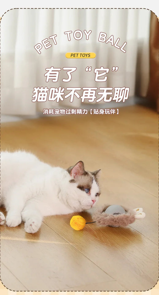 Self-Moving Electronic Toy for Cats and Kittens