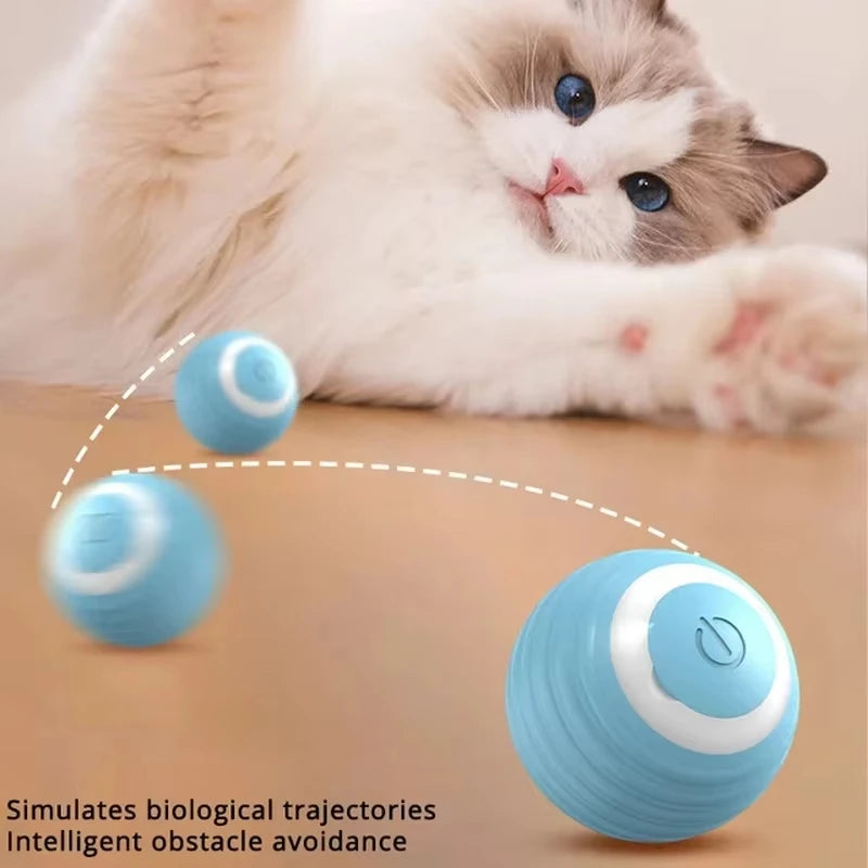 Automatic Self-Moving Magic Ball for Cats and Kittens