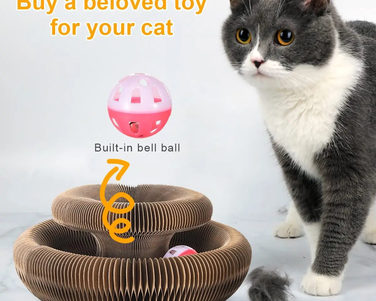 CozyLife™ Magic Cat Scratcher & Play Hub