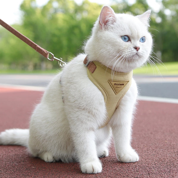 PurrFlex™ Cat Harness and Leash Walkwear Set