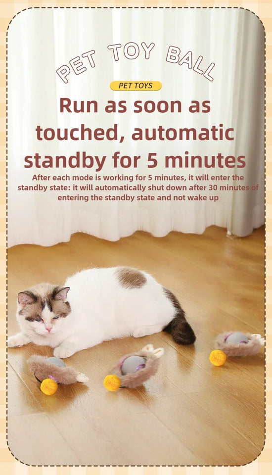 Self-Moving Electronic Toy for Cats and Kittens