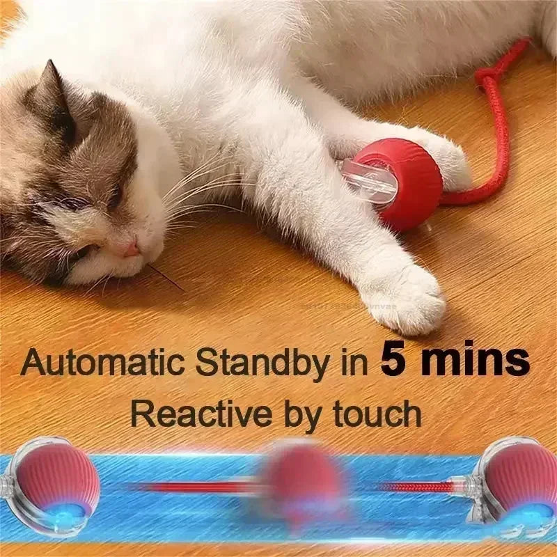 Self-Moving Electronic Toy for Cats and Kittens