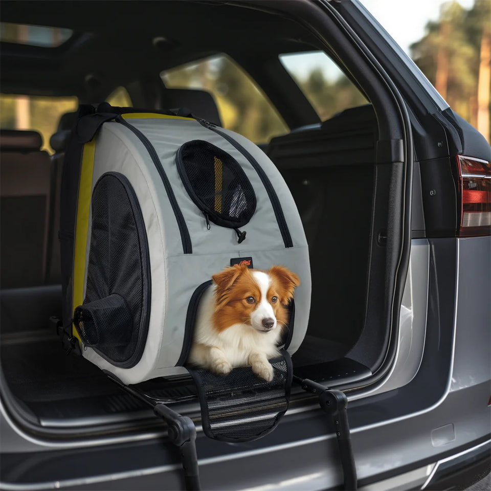 2-in-1 Portable Pet Travel Stroller and Car Seat Carrier for Small Dogs and Cats