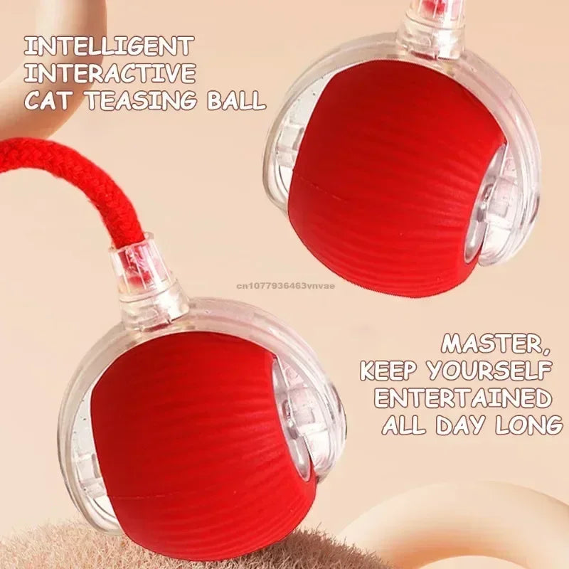 Self-Moving Electronic Toy for Cats and Kittens