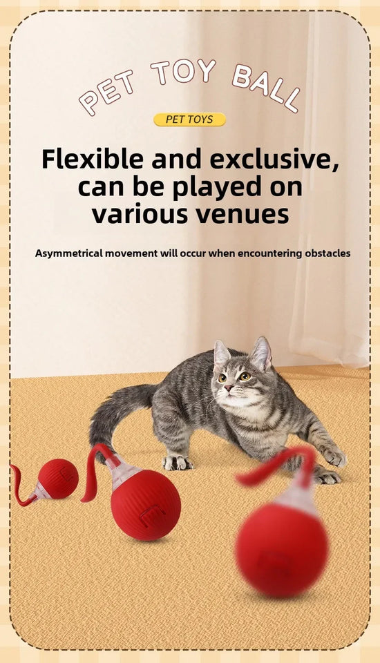 Self-Moving Electronic Toy for Cats and Kittens