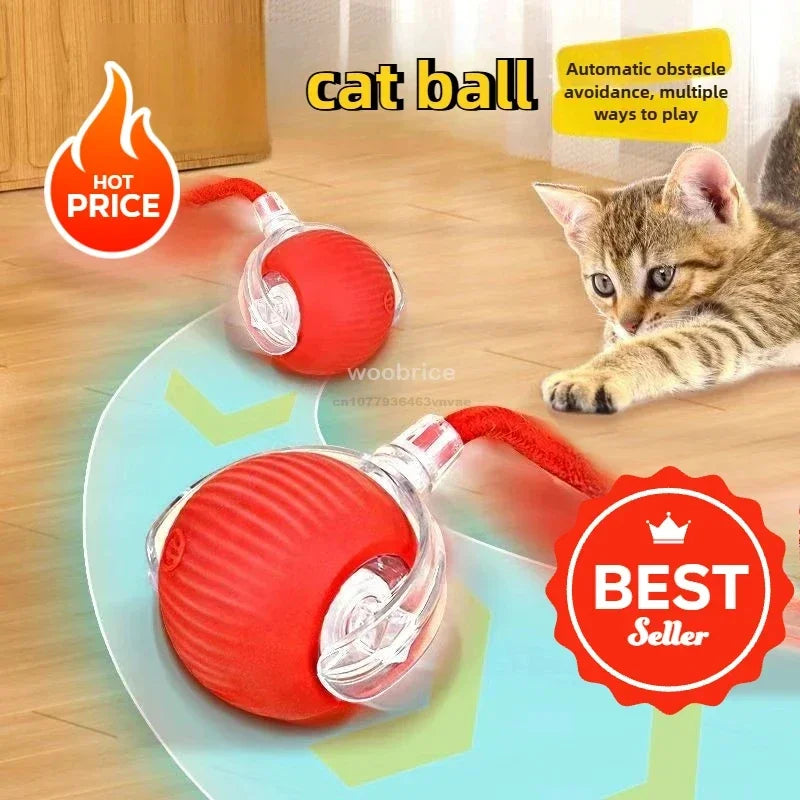 Self-Moving Electronic Toy for Cats and Kittens