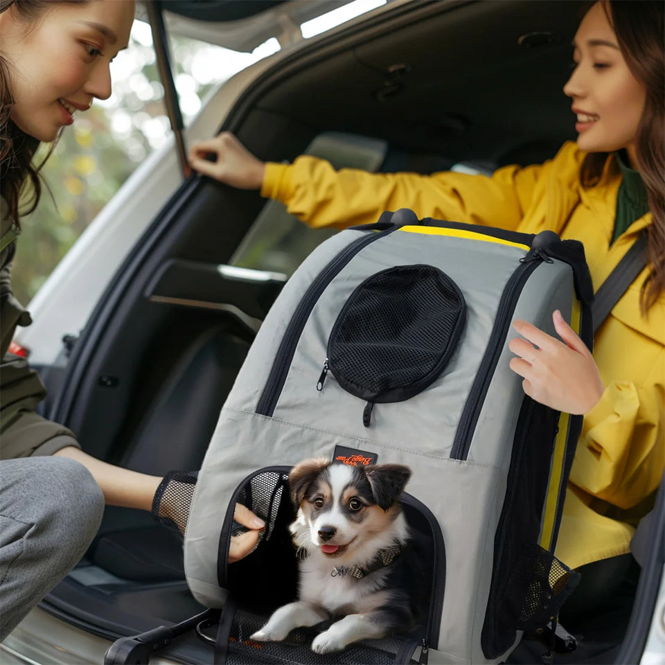 2-in-1 Portable Pet Travel Stroller and Car Seat Carrier for Small Dogs and Cats