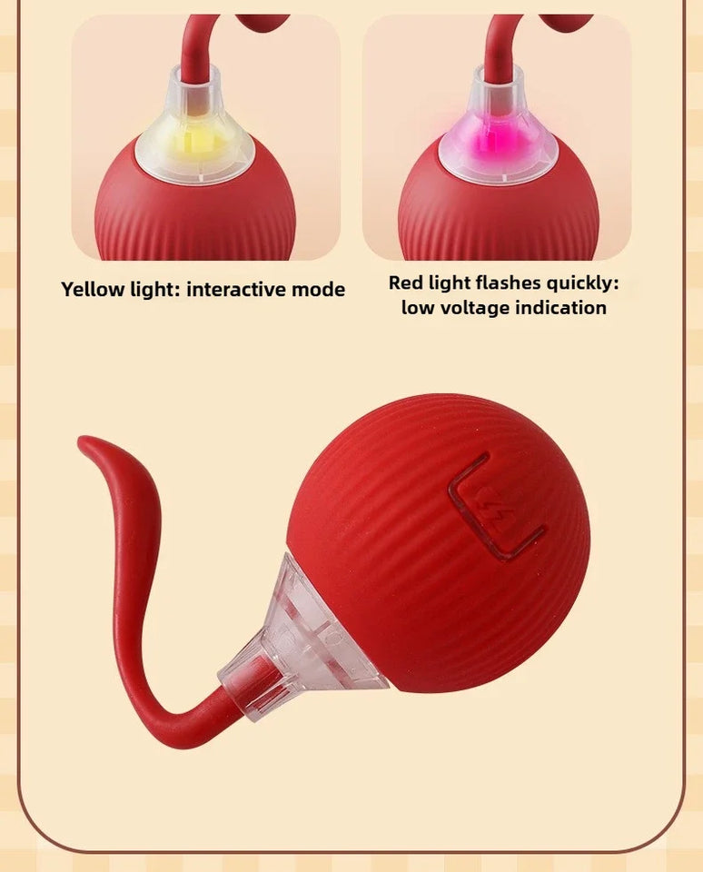Self-Moving Electronic Toy for Cats and Kittens