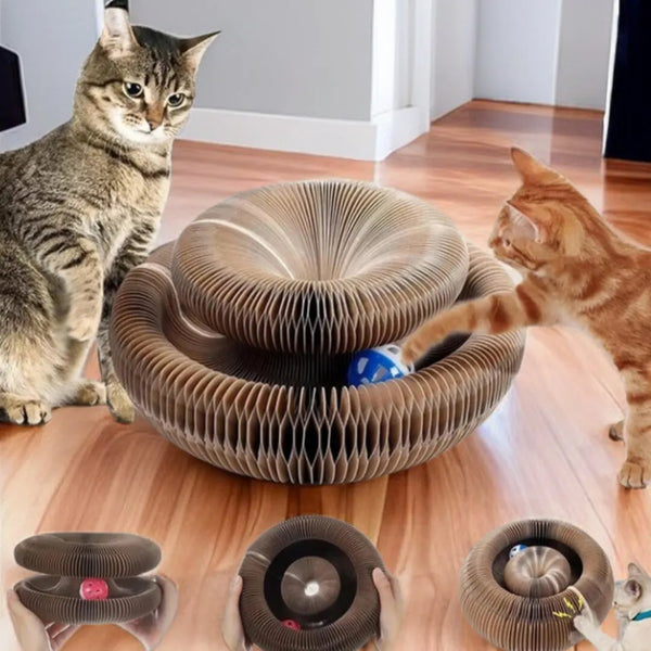 CozyLife™ Magic Cat Scratcher & Play Hub