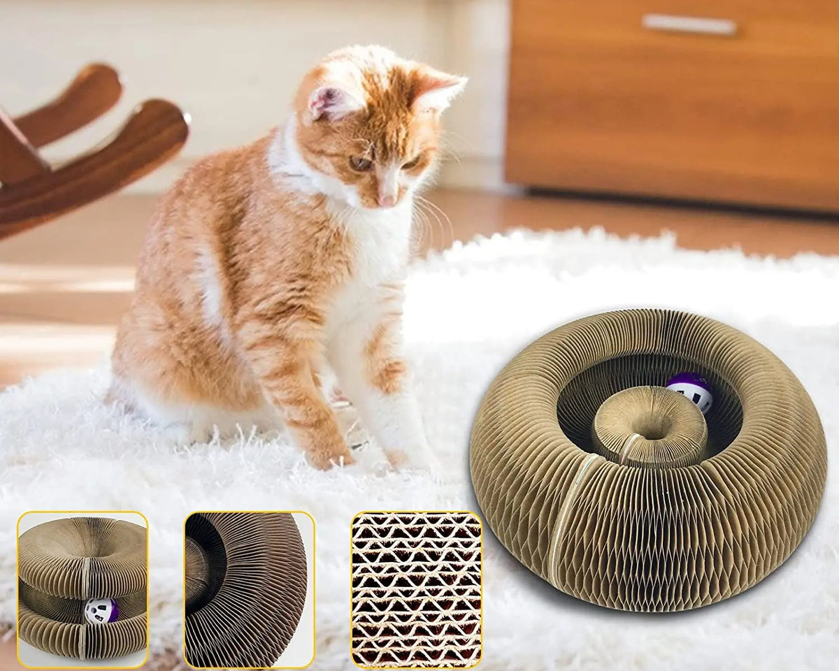 CozyLife™ Magic Cat Scratcher & Play Hub