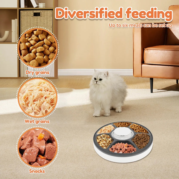 MealMate™ Automatic Pet Feeder 6 Meals