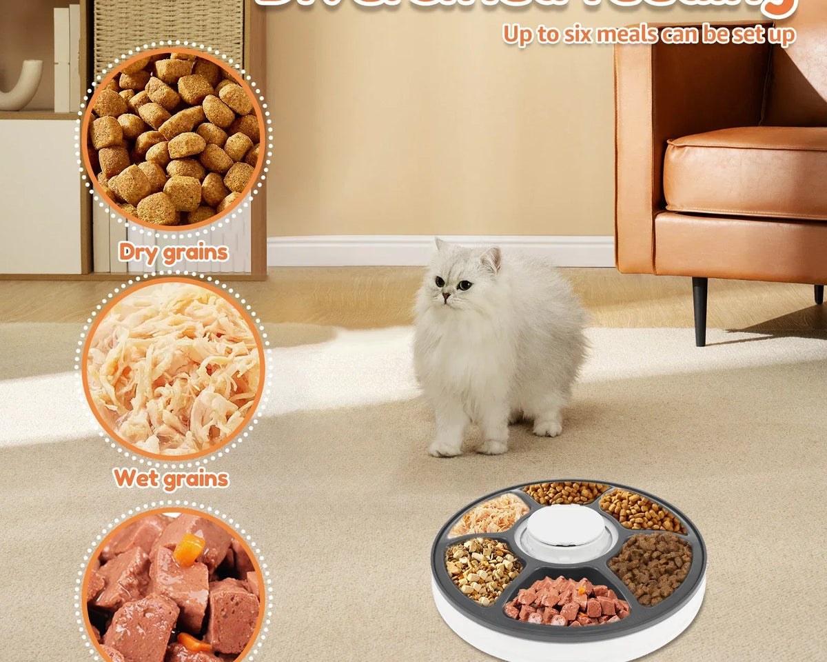 MealMate™ Automatic Pet Feeder 6 Meals