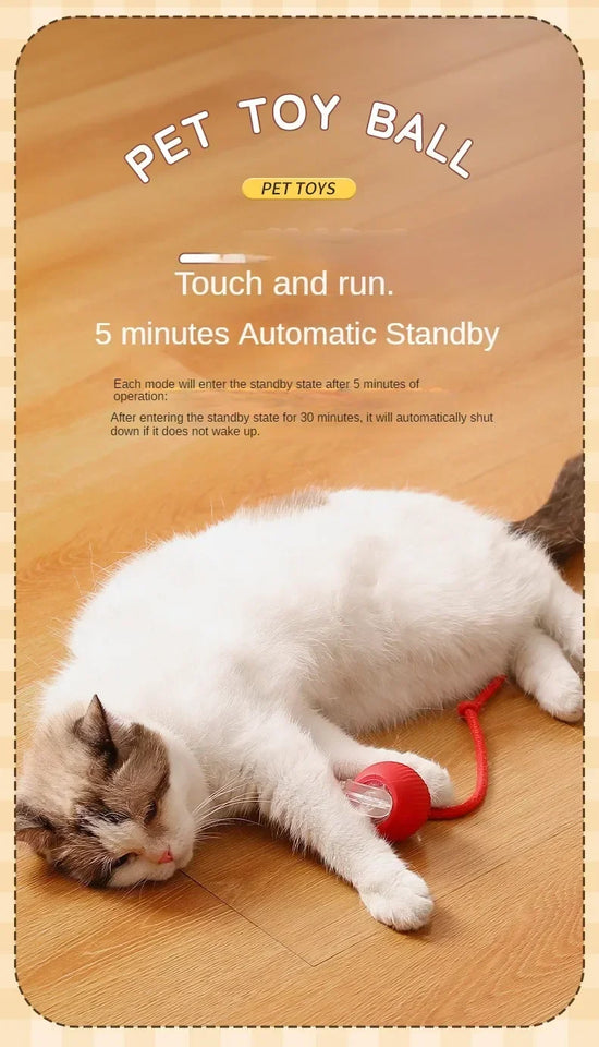 Self-Moving Electronic Toy for Cats and Kittens
