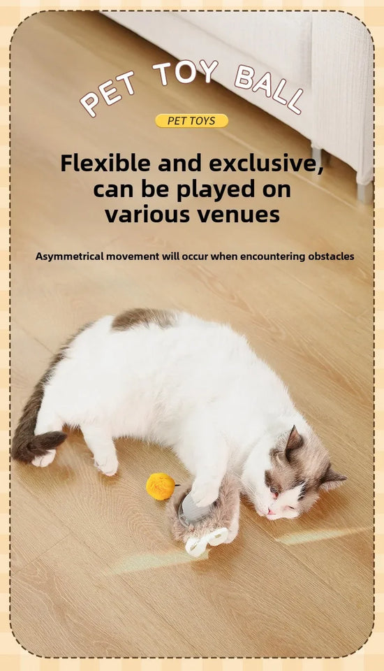 Self-Moving Electronic Toy for Cats and Kittens