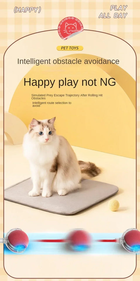 Self-Moving Electronic Toy for Cats and Kittens