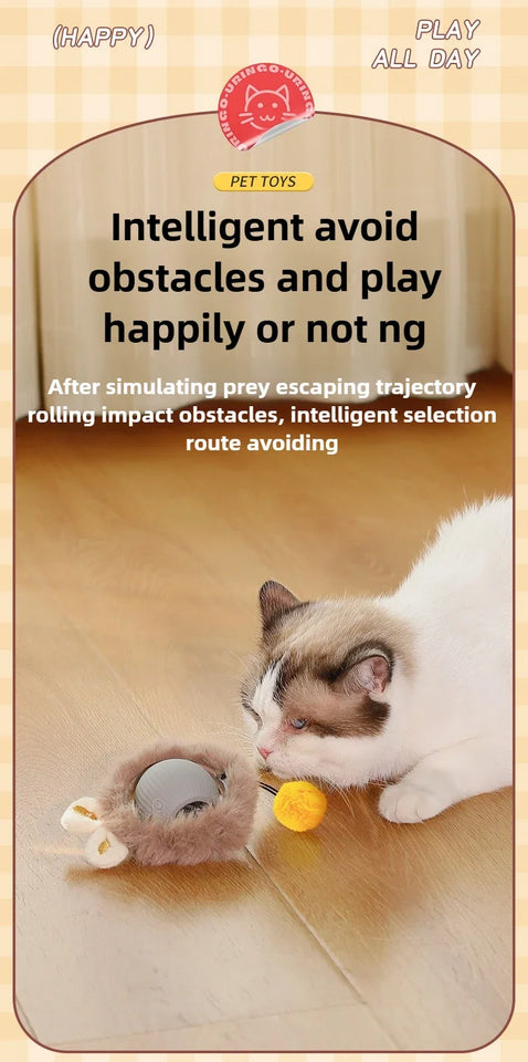 Self-Moving Electronic Toy for Cats and Kittens