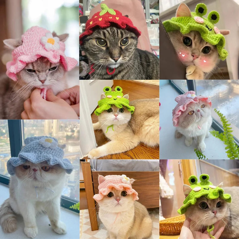Autumn Winter Cat Hat – Elastic Knitted Pet Hat for Puppies and Kittens