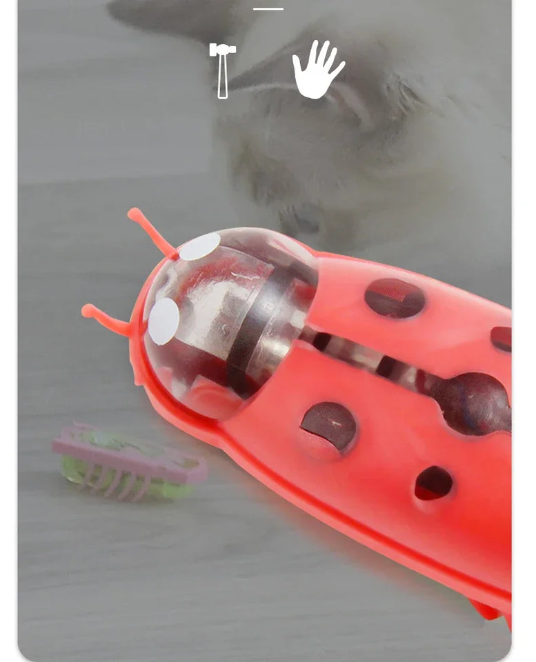 Mini Electric Bug Pet Toy – Interactive Ladybird Beetle