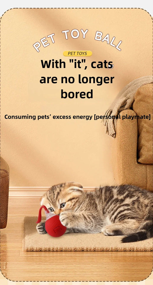 Self-Moving Electronic Toy for Cats and Kittens