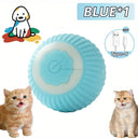  only ball-blue