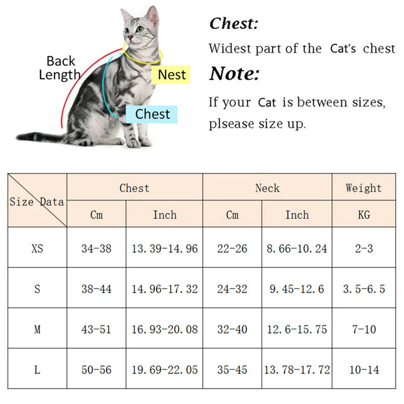 PurrFlex™ Cat Harness and Leash Walkwear Set
