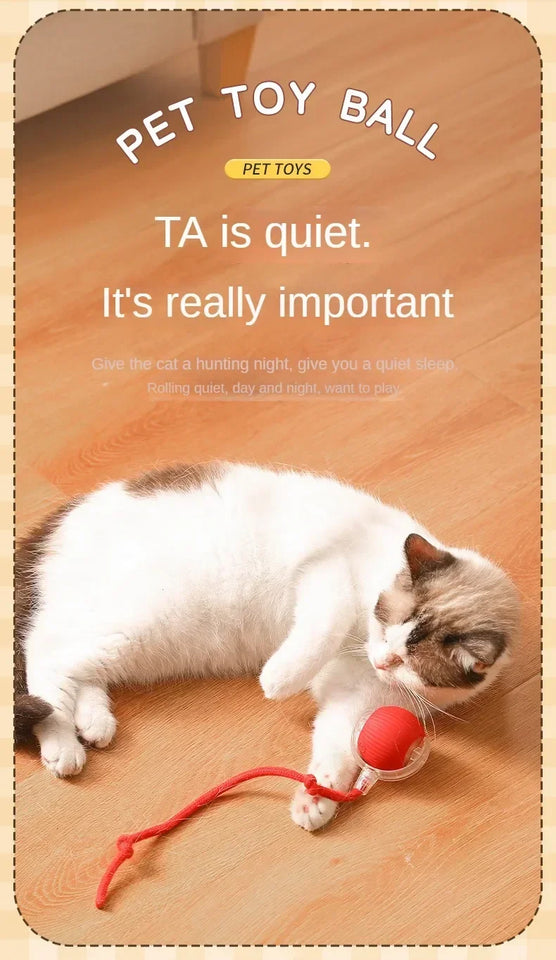 Self-Moving Electronic Toy for Cats and Kittens