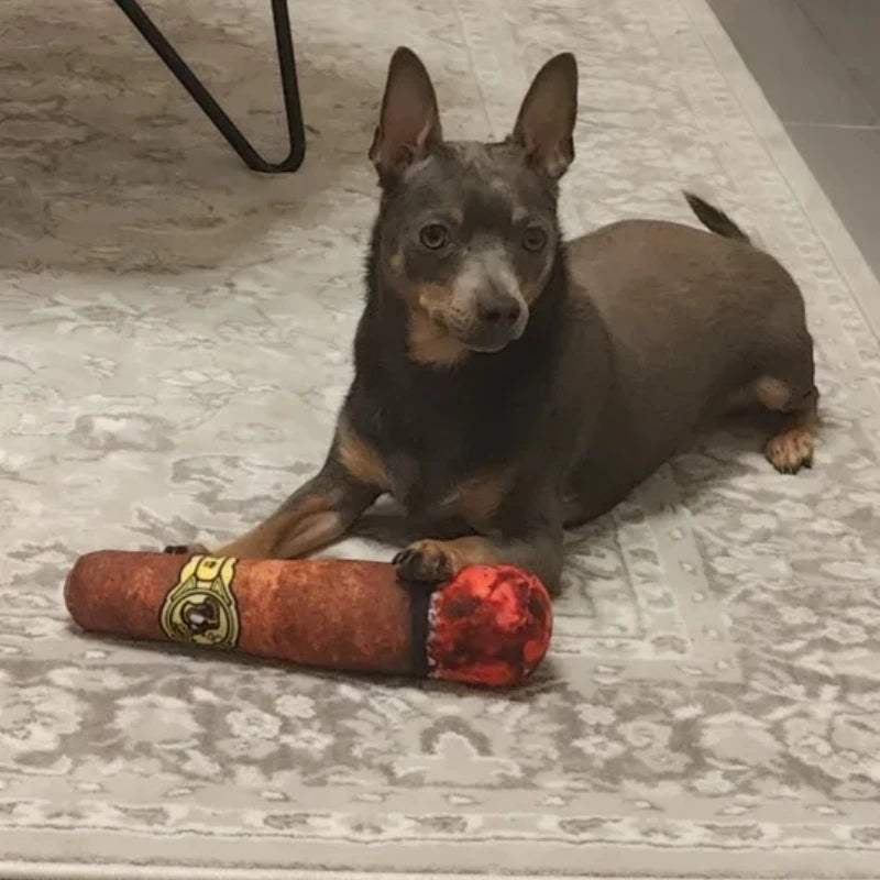Interactive Dog Cigar Plush Squeaky Toy