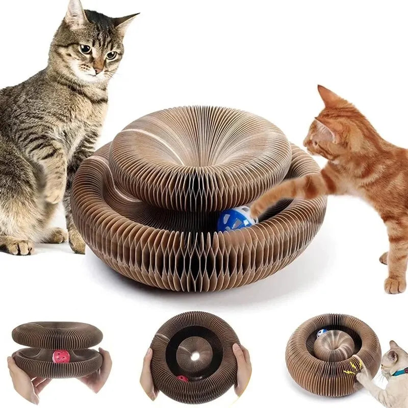 CozyLife™ Magic Cat Scratcher & Play Hub