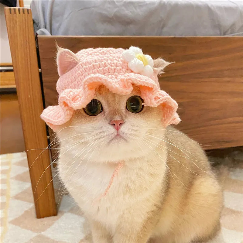 Autumn Winter Cat Hat – Elastic Knitted Pet Hat for Puppies and Kittens