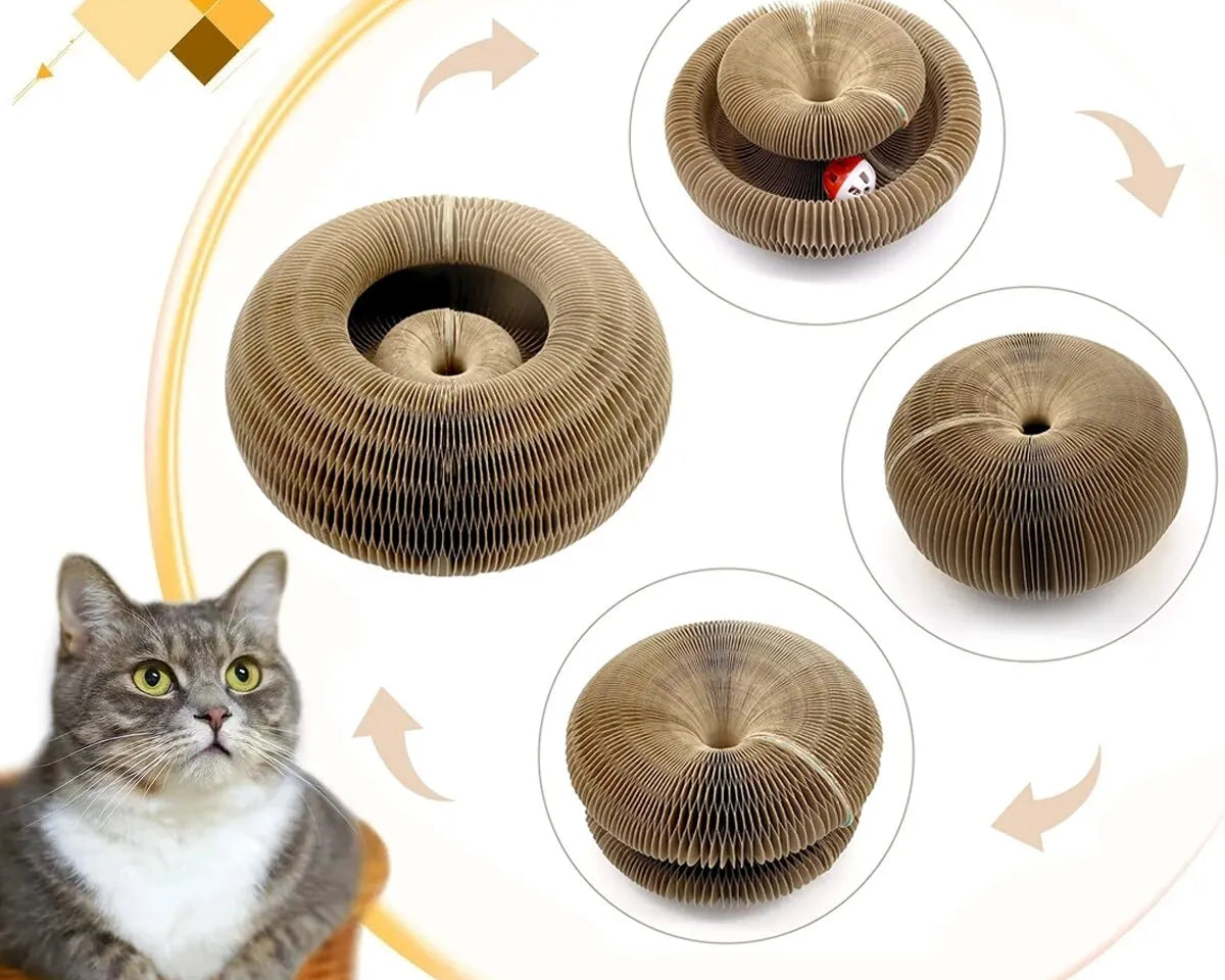 CozyLife™ Magic Cat Scratcher & Play Hub
