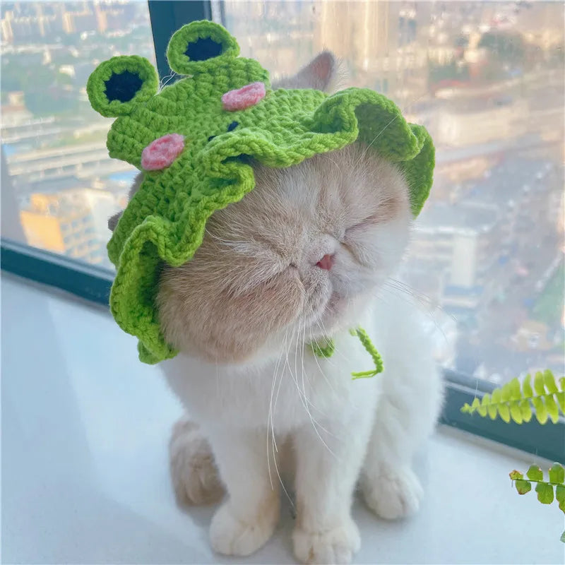 Autumn Winter Cat Hat – Elastic Knitted Pet Hat for Puppies and Kittens