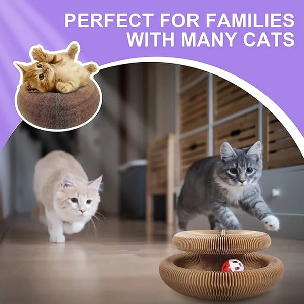 CozyLife™ Magic Cat Scratcher & Play Hub