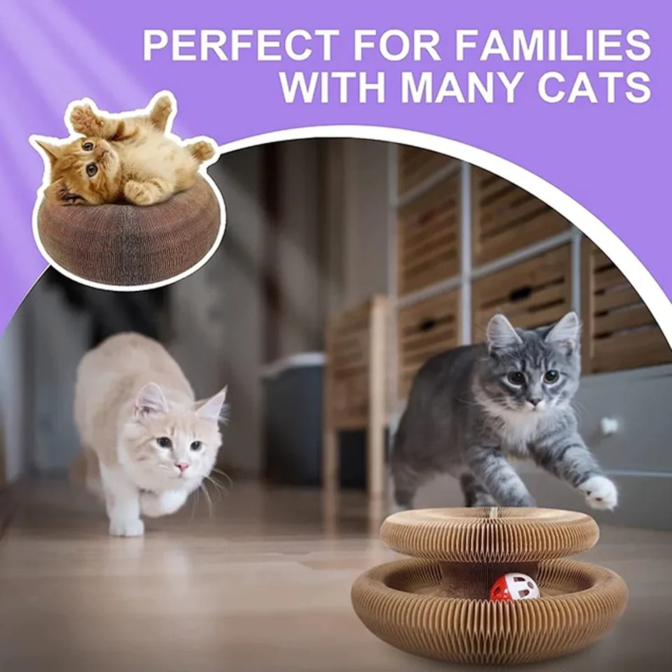 CozyLife™ Magic Cat Scratcher & Play Hub